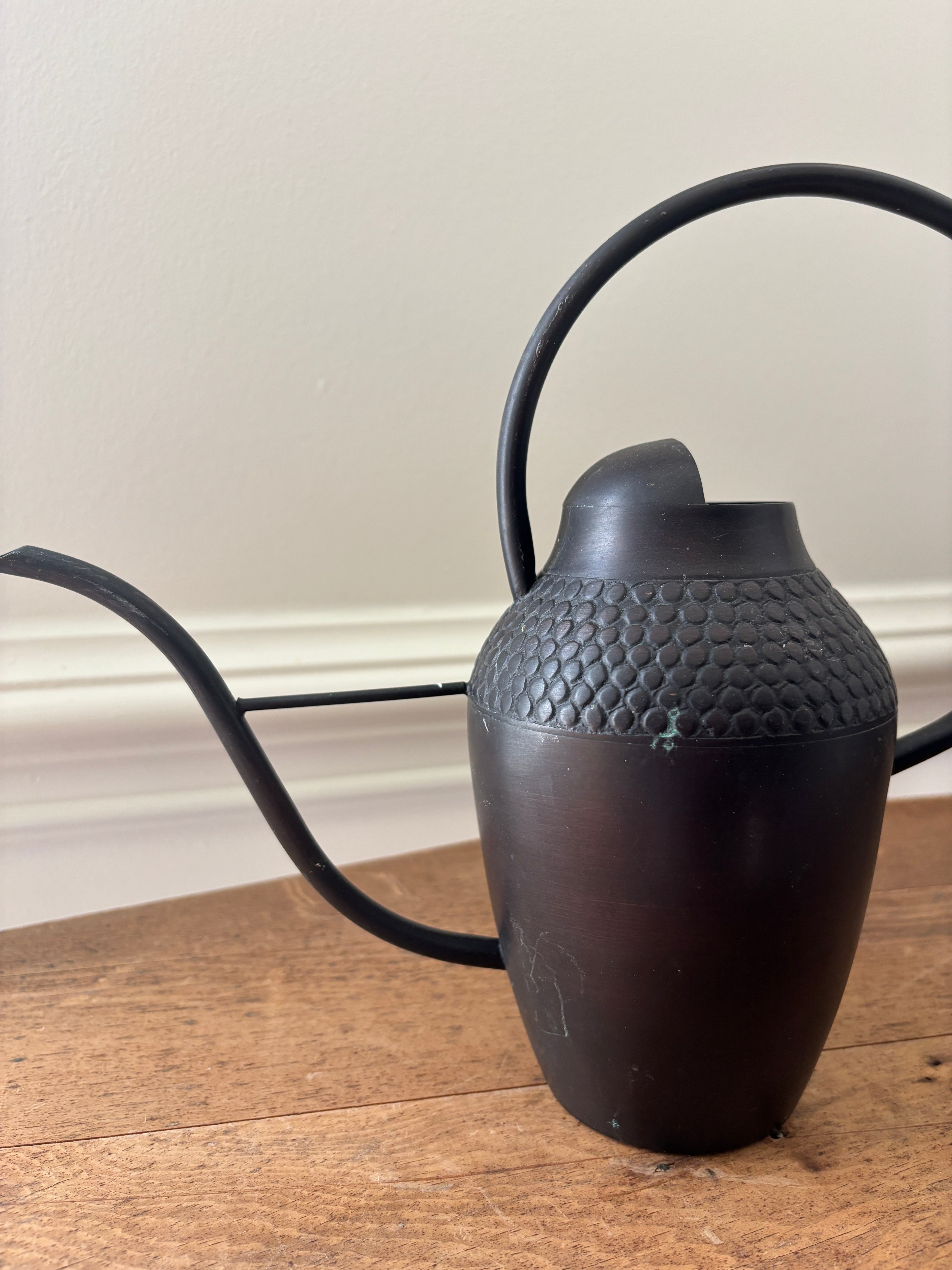 Cast Metal Bonsai Watering Can